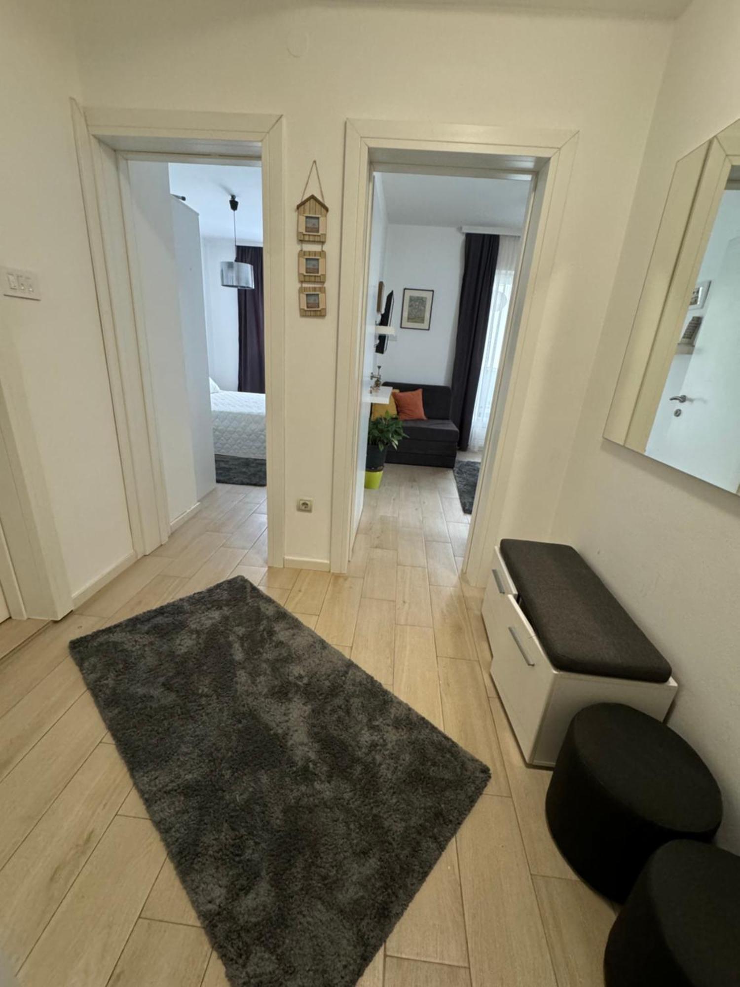 Coccinellidae Apartment