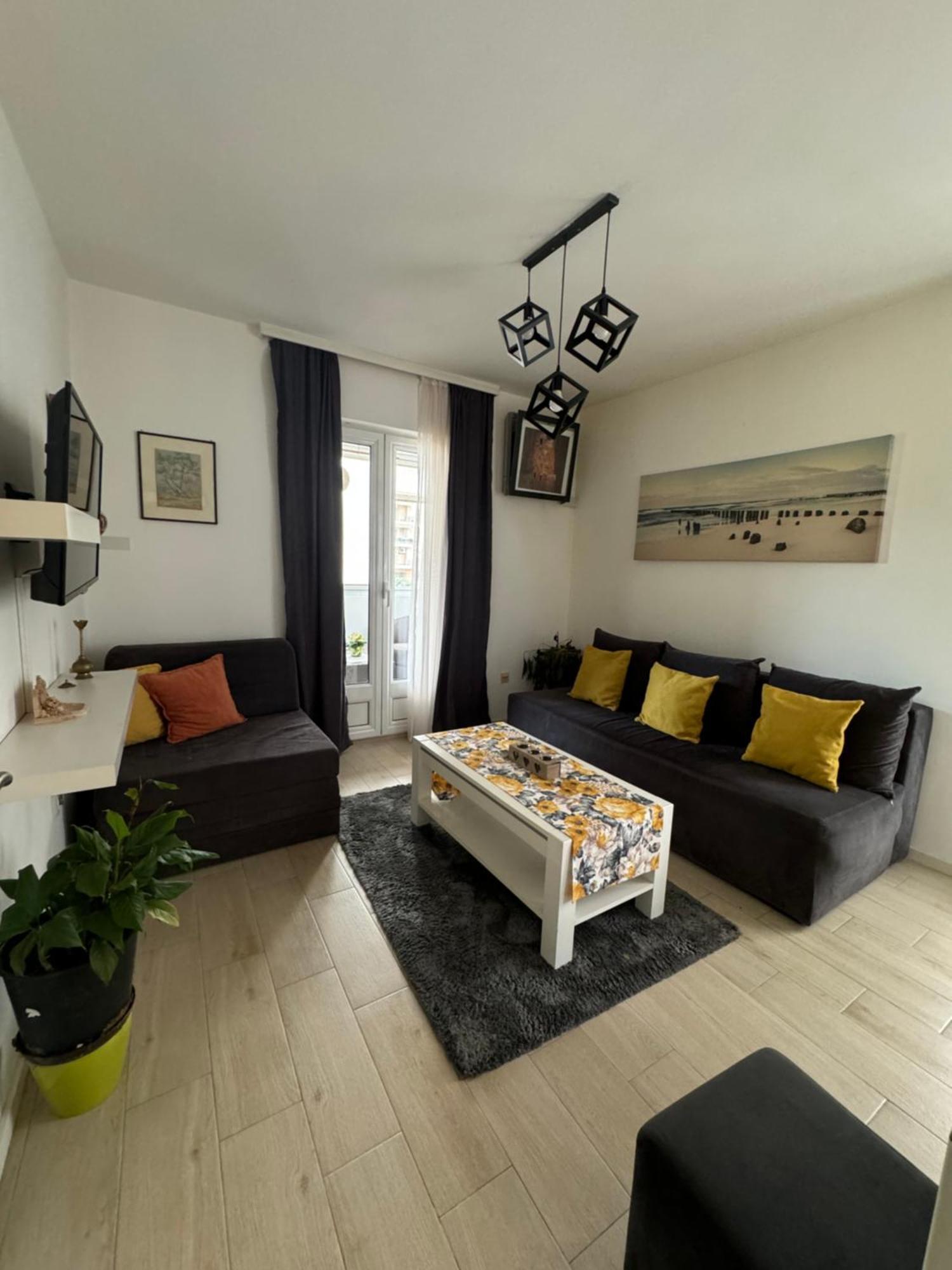 Apartment Coccinellidae *