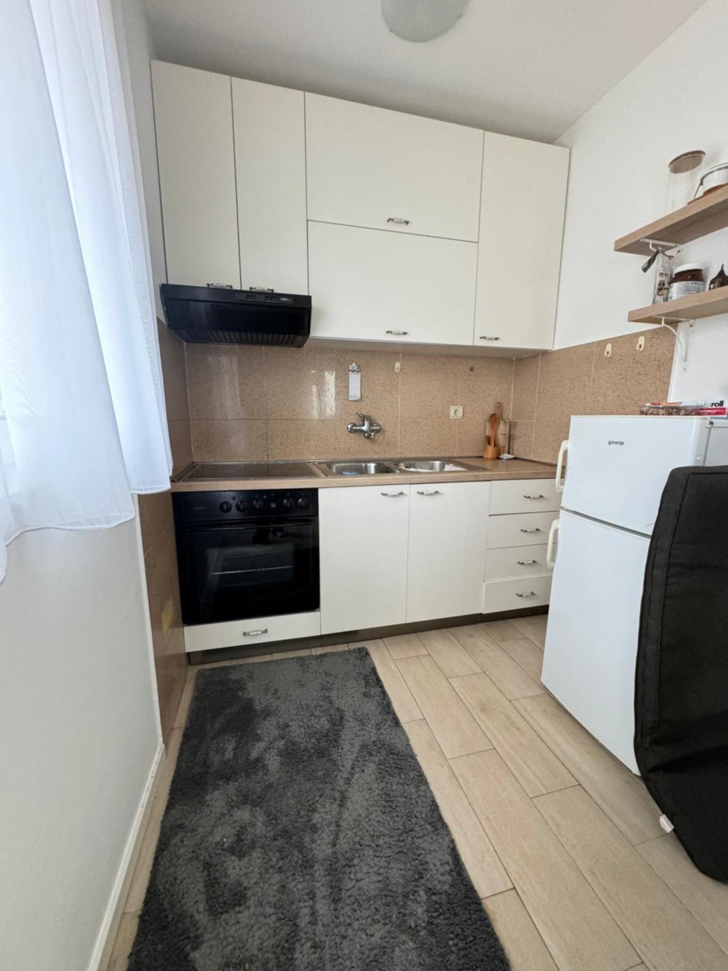 Apartment Coccinellidae Budva