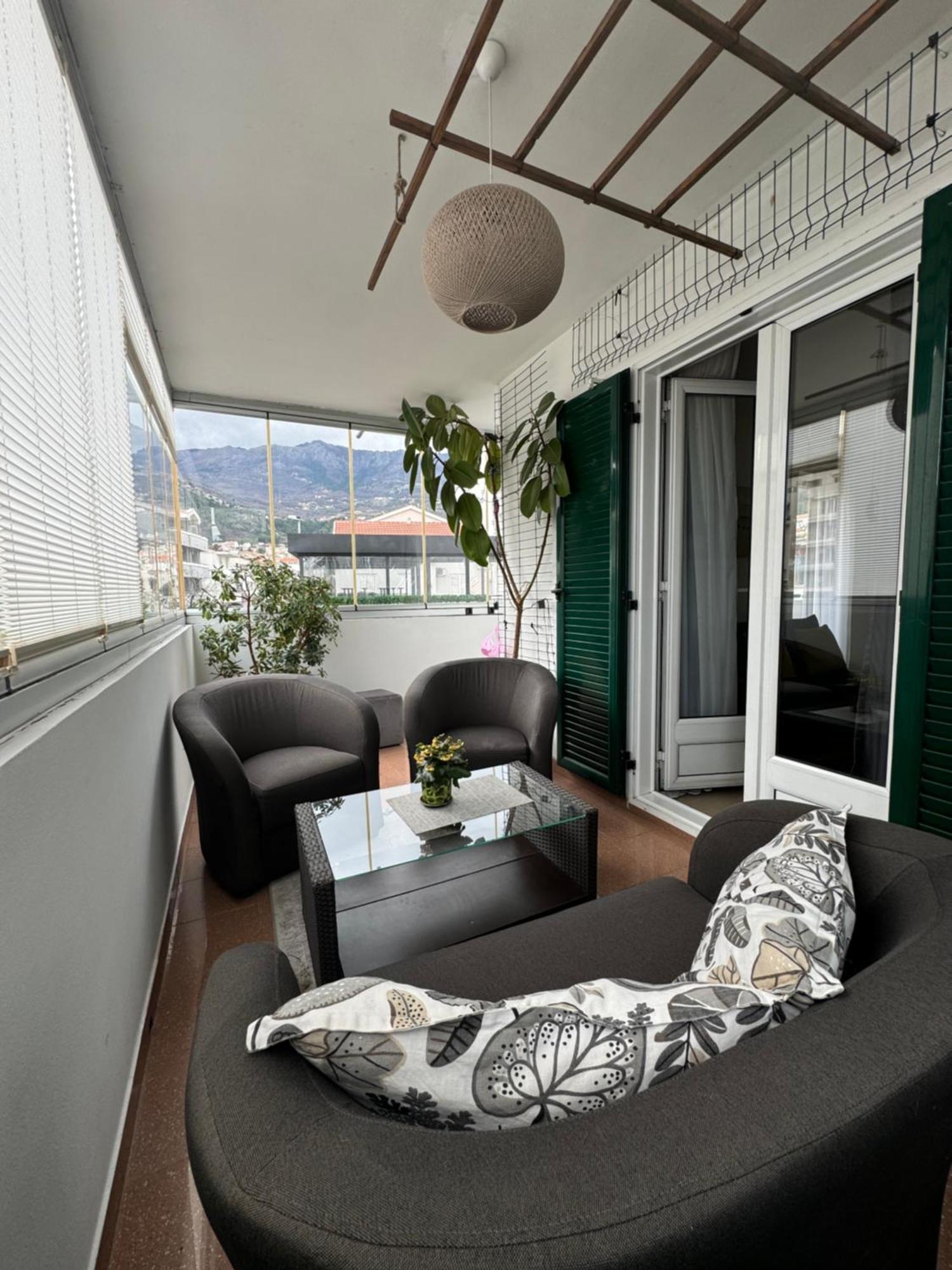 Coccinellidae Apartment