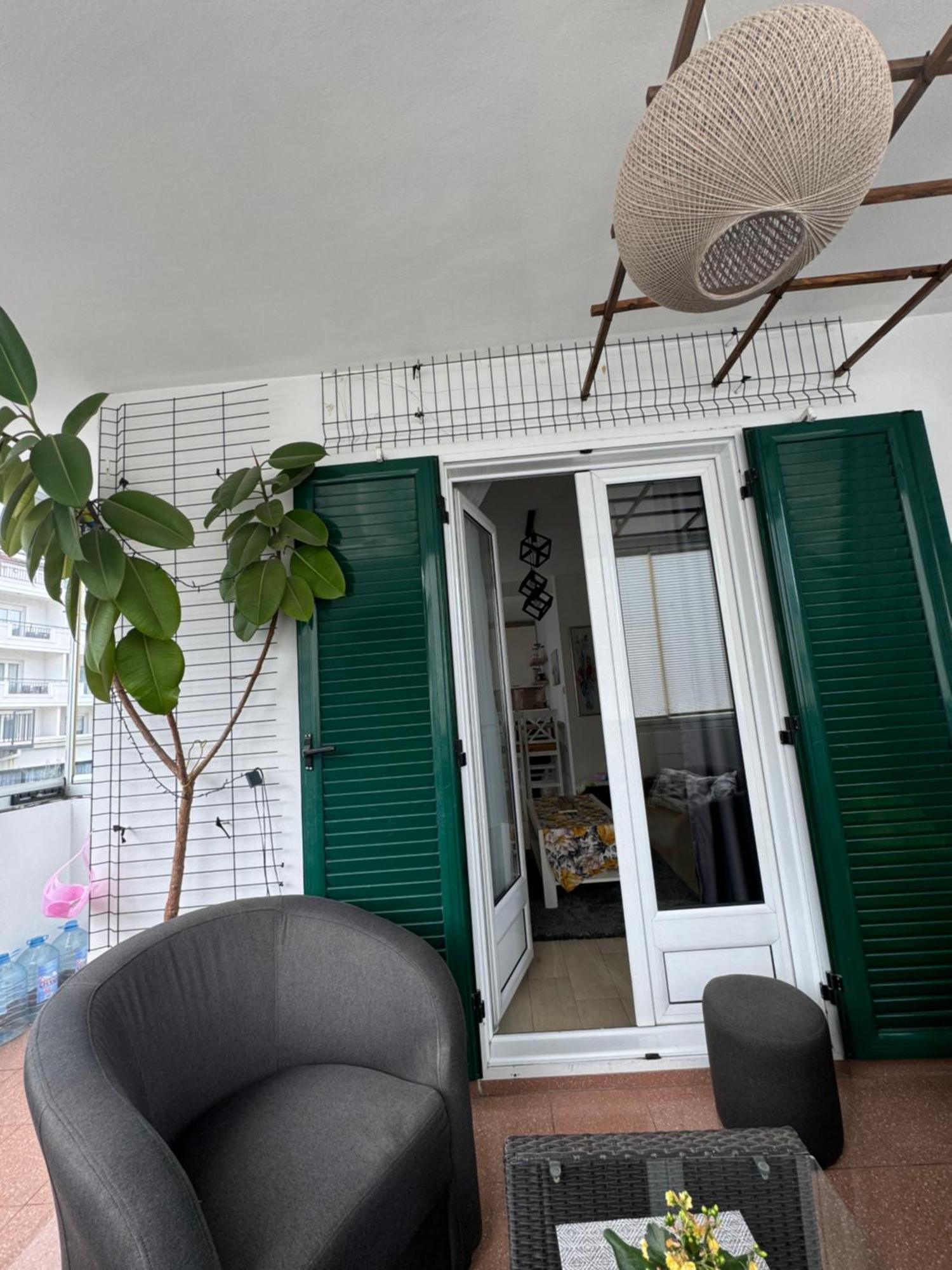 Apartment Coccinellidae Budva